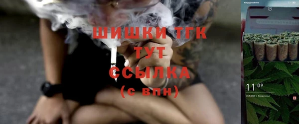 соль ск Медвежьегорск