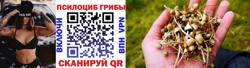 Галлюциногенные грибы MAGIC MUSHROOMS  Купить  Саров 